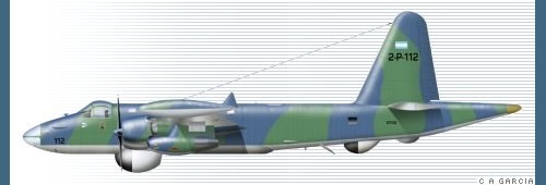 Argentyński P-2 Neptune (zdjęcie: Siły Zbrojne Argentyny)